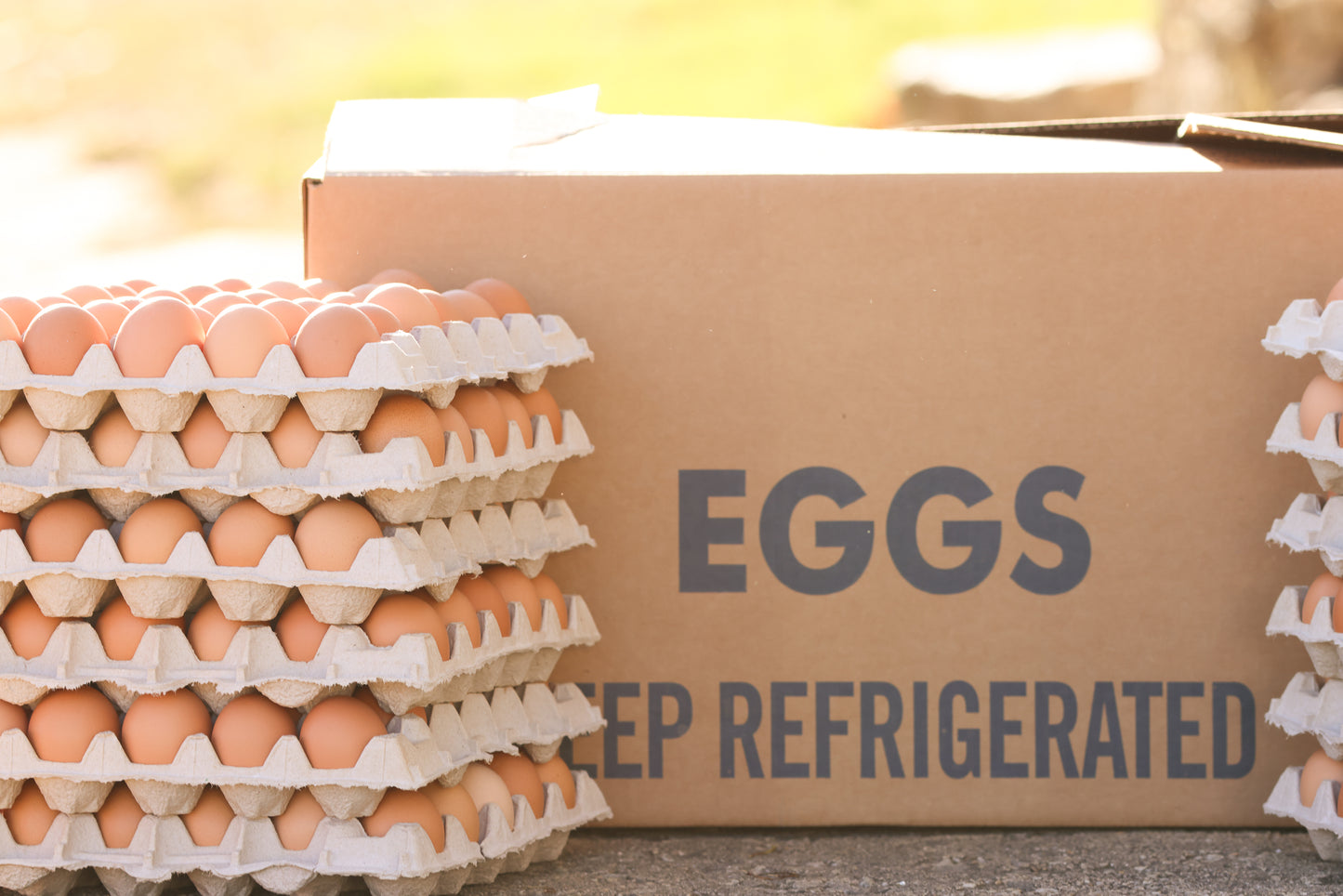 30 Dozen Large Eggs Flats